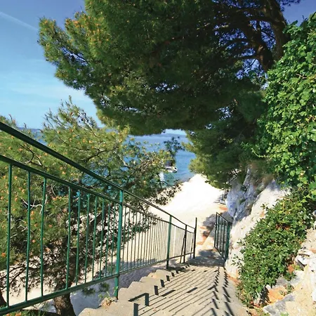 2 * Бродарица