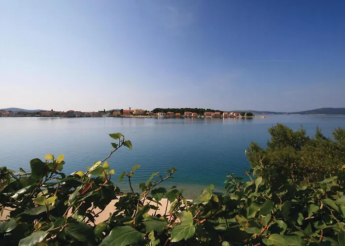 2 * ברודאריצה