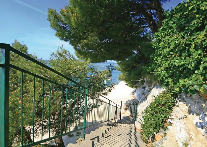 2 * ברודאריצה