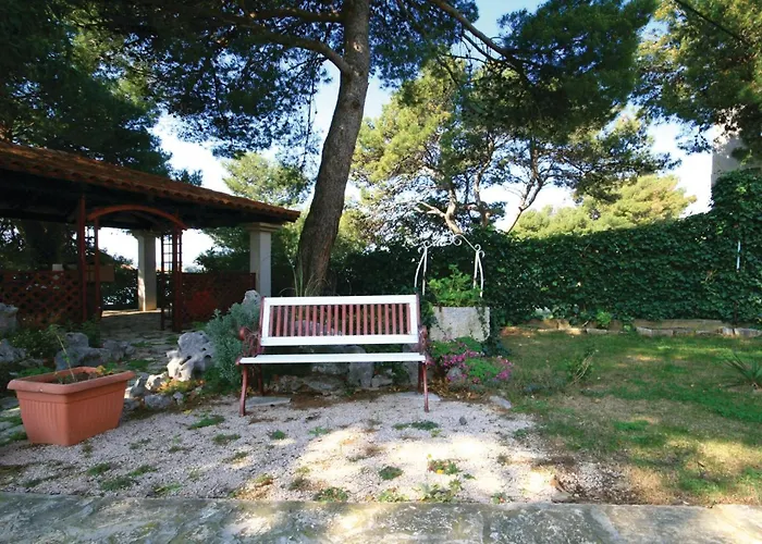 2 ברודאריצה